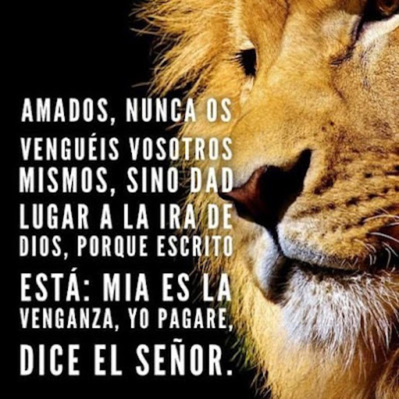 Meet your Posher, Lucia - Picture 1 of 1